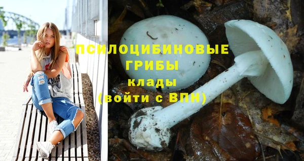 соль ск Абдулино