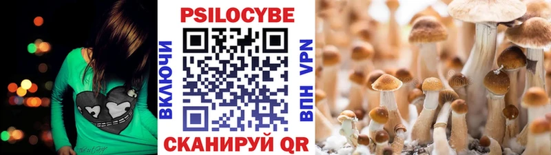 Галлюциногенные грибы ЛСД  дарк нет официальный сайт  Скопин 